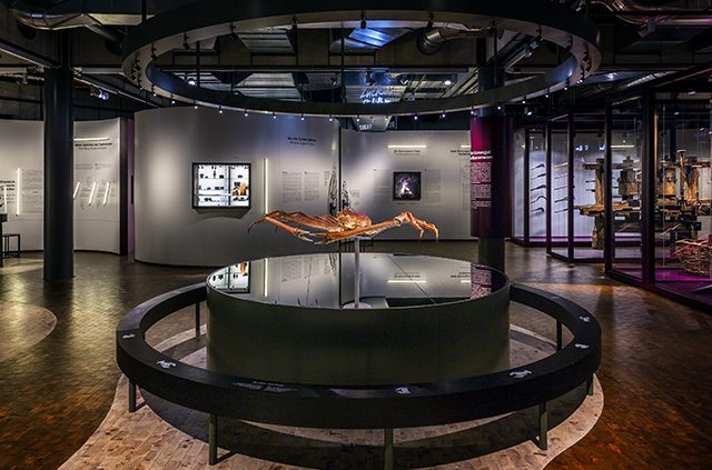 Ausstellungsbeleuchtung Alles Zucker Deutsches Technikmuseum Berlin
